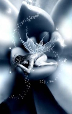 0O........JE T'AIME.......O0